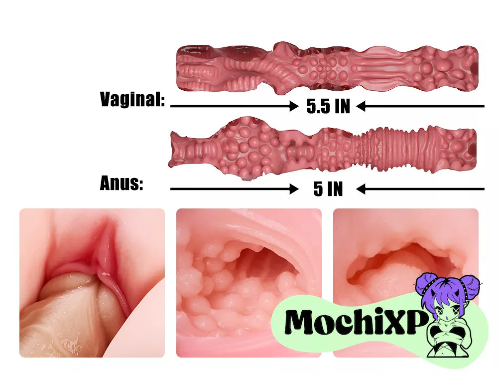 Asa BBW Realistic Torso Masturbator with Soft-Curve Design – 4.35kg (9.59lbs)